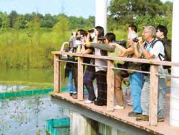 무료가이드투어 무료가이드투어 홍콩습지공원 Hong Kong Wetland Park : 새관찰페스티벌 마이포이너딥베이람사르유적지 Mai Po Inner Deep Bay Ramsar Site 와가까운곳에있는홍콩습지공원은