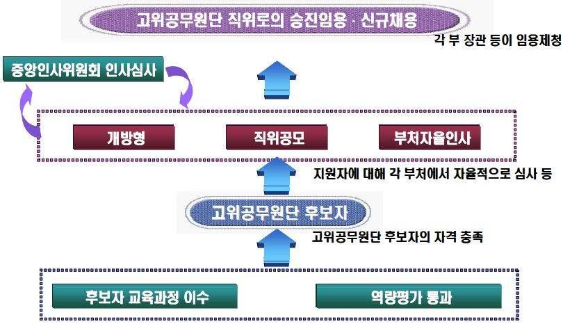 < 그림 3-4> 고위공무원단충원과정 고위공무원단후보자과정은중앙행정기관과장급 (3~4 급 ) 의공무원을대상으로실시하고있으며, 고위공무원으로서요구되는핵심역량및문제해결능력을함양시키고있는후보군육성을통한 고위공무원단의경쟁력을향상시키려는목표로연 3 회를실시하고있음 (2007 년기준 ) 역량교육과정은직무를병행하면서 10 주간의교육기간으로개인별역량진단에따른단계별 맞