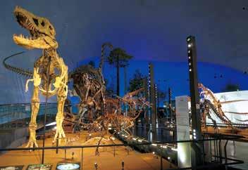 Fukui Prefectural Dinosaur Museum 공룡박물관 /