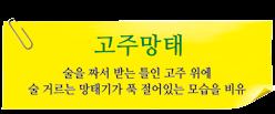 최근우리나라에서도소셜다이닝이크게확산하고있는데, 1인가구의증가와밀접한관련이있는것으로해석된다. 바쁜일정에쫓겨가족과함께식사하지못하는사람들이나혼자인스턴트음식으로끼니를때우던사람들이 건강한식생활 이라는관심사를공유하며뭉치는문화현상을이르는말이다.