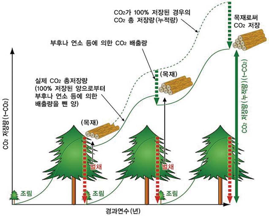 5-1 그림 3-13 [ 목재의성장과이용과정에서탄소의축척 ] * 자료 : 국립산림과학원 지구환경의미래를걱정해야하는오늘에있어서목재는환경과조화하고환경에부담이없는재료로새롭게태어나고있다. 이와같은때, 목재의공급이가능한산림을만들어주는것은가치있는목재자원의이용방법과맥을같이하고있다. 목재자원은생물자원이기때문에석유나석탄과같이사용하면없어지는것이아니다.