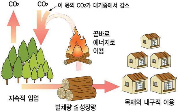 Ⅲ. 기후변화대응에있어산림의역할 그림 3-16 [ 탄소저장기간을늘리기위하여목재의내구적이용 ] * 자료 : 국립산림과학원 우리나라는외형적으로세계목재소비 10대국에포함되지만건축구조재로목재가사용되는것은불과 10% 에도미치지못하고있다.