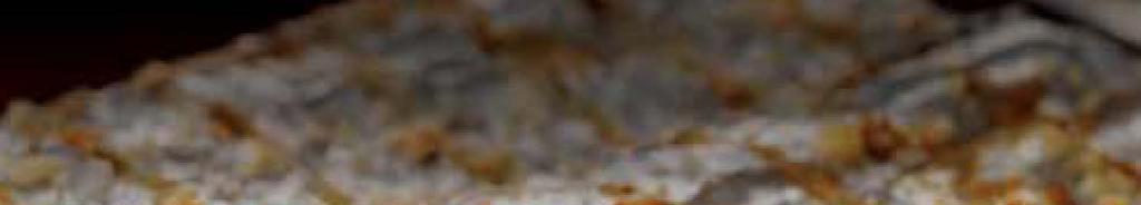 5 g 갈치 : 국내산 제주 해에서어 한겨울갈치를개별포장