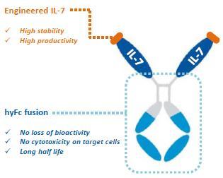 2. Hybrid Fc 를활용한신약 HyLeukin-7 HyLeukin-7 은 IL-7 에 Hybrid Fc 를 접목. IL-7 을의약품으로개발가능 제넥신이개발한 HyLeukon-7 은원래생체내에존재하는싸이토카인의일종인 Interleukin-7(IL-7) 에제넥신의지속형플랫폼기술인 Hybrid Fc 가결합된지속형 IL- 7 제제이다.