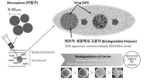 1. SmartDepot 플랫폼기술 SR-DDS 기술은서방형기술 펩트론의플랫폼기술의컨셉은 Sustained release, 즉서방형기술로생분해성고분자 ( 예를들면 PLGA) 를캐리어로이용하여미립구 (microsphere) 형태로제조, 약물방출을조절하는기술이다.