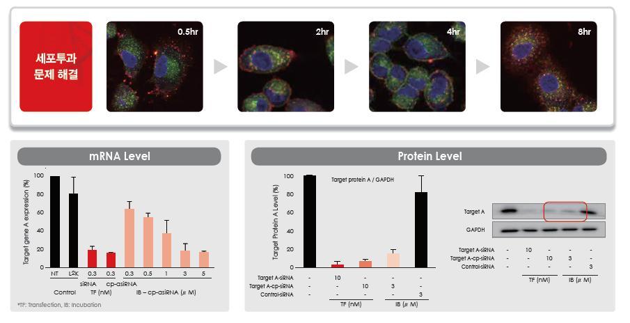 Target gene A expression (%) Target gene AL level (%) 제약 / 바이오 Analyst 선민정 02-3771-7785 2) 자가전달기술 올릭스는별도전달체가필요없는 sirna 자가전달기술보유 sirna의화학적변형을통해세포투과성증가 올릭스는별도전달체가필요없는 sirna 자가전달기술을보유하고있다.