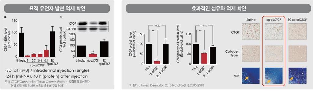 CTGF mrna level (% of control) CTGF protein level (% of control) CTGF protein level (% relative of saline) Collagen type1 protein level (% relative of saline) 제약 / 바이오 Analyst 선민정 02-3771-7785 그림 5.