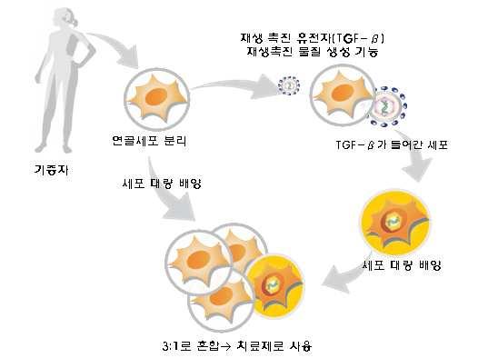 기업분석ㅣ코오롱생명과학 티슈진 C는연골재생을목표로하는바이오신약티슈진 -C는유전자치료제 (Gene therapy) 와세포치료제 (Cell therapy) 의개념을복합적으로적용한유전자세포치료제이다.