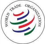 USD/person 1995 WTO 가입 919 USD/person 2018 1992