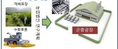 세계농식품산업동향 아울러 농업생물자원연구소 는농업바이 오기술연구수행핵심기관으로형질전환누에및실크섬유에관한연구를진행하고있다 일본에서누에를활용한주요연구동향을살펴보면 날도래목곤충유래 유전자와인시목곤충인누에유래