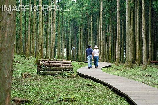 설계방향 길은 기본적으로 황토포장이되, 길로