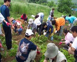 또한오리쌀건조저장시설이 2006 년문당리에들어섰다.