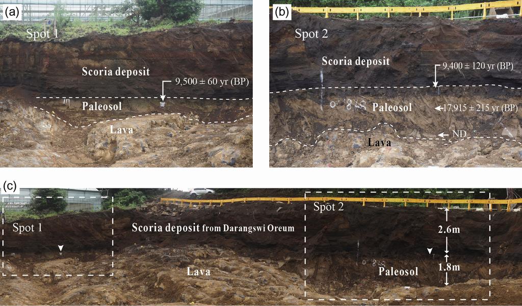 11 제주도 곶자왈 형성의 주요 원인 Table 2. AMS radiocarbon data for paleosol underlying scoria deposit from Darangswi Oreum which predates the Donggeomun Oreum related with Gujwa-Seongsan Gotjawal.