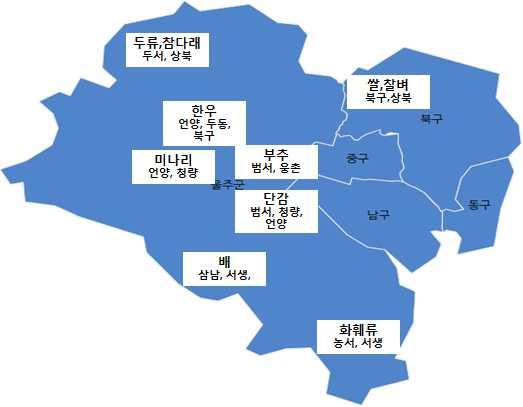 제 3 장농업 농촌및식품산업의현황과과제 o 지역별농특산물생산현황 울산광역시는지역별로비교적뚜렷한농특산물생산의주산지화와특화현상이 나타나고있으며 이중배 부추 호접란 버섯류등은전국적인주산지로형성됨 표 3-31 울산광역시지역별주요농특산물생산현황 부류품목주요산지브랜드 쌀 두동, 두서, 북구 황우쌀, 친정청결미 찰벼 북구 복조리찰메쌀 단감 범서, 청량, 언양 미나리