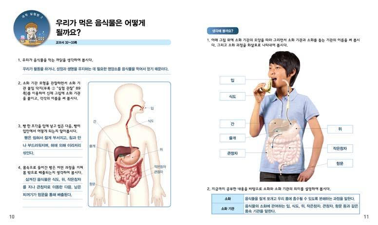 탐색활동에서학생들이발견한내용을처음소개되는소화, 소화기관등의개념 ( 용어 ) 과연결시키고, 이를새로운상황에적용해보는기회를제공하기위하여순환학습모형을적용하였다. 수업동기유발 교과서 32 쪽사진을이용하여 소화 와관련된다양한질 문과답을이끌어냄으로써학습동기를유발하거나, 지도자료 (DVD) 목록가운데소화와관련되는동영상을보여준다.