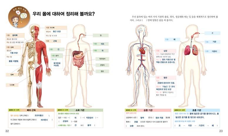 9 2 10 차시 학습목표 수업의개관 과학글쓰기 우리몸에대하여정리해볼까요? 1. 우리몸속여러기관의구조와하는일을체계적으로정리할수있다. 2. 건강한생활을약속하는편지를쓸수있다. 1 우리몸속여러기관 우리몸속여러기관의종류와 의구조와기능 위치, 생김새와하는일을체계 정리하기 적으로정리하기 건강한생활을약속하는편지쓰기!