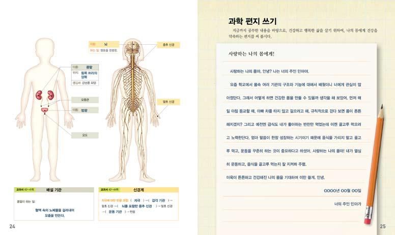 - 우리몸에필요한영양소가들어있는음식물을잘게쪼개고우리몸에흡수될수있도록분해하는과정입니다. 소화기관의종류를이야기하여봅시다. 소화를돕는기관의종류와하는일을이야기하여봅시다. 소화의과정을발표하여봅시다. 심장의위치와하는일을알아봅시다. 혈관의위치, 생김새와하는일을알아봅시다. 호흡에관여하는몸속기관의종류와하는일을정리하여봅시다. 호흡기관이하는일을정리하여봅시다.