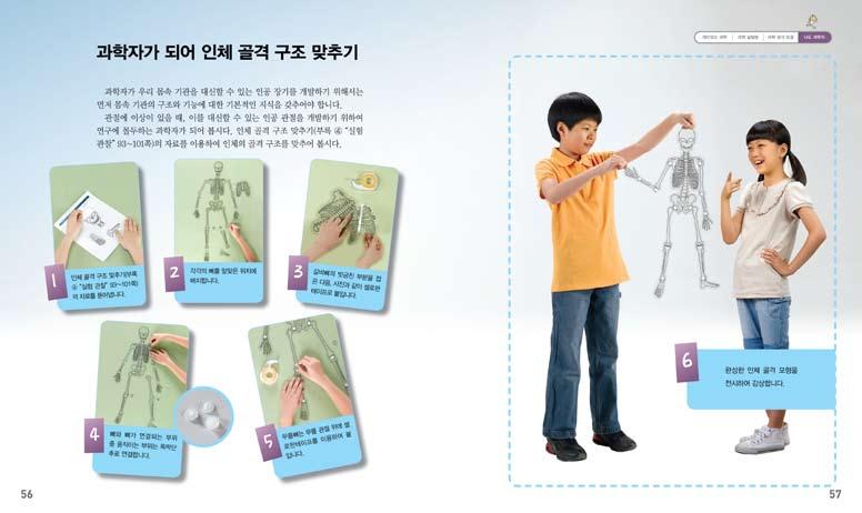 2. 과학자가되어인체골격구조맞추기 수업도우미 인체골격구조맞추기 ( 부록 4 실험관찰 93~101쪽 ) 자료를뜯습니다. 배운내용을바탕으로사람의뼈를그모양과구조에맞게맞춰인체골격을완성하여봅시다. 완성한인체골격의특징은무엇이고, 이를통하여알수있는것은무엇인지발표하여봅시다. - 뼈와뼈가닿는부분이자유롭게움직일수있습니다. - 머리뼈는둥근모양입니다.