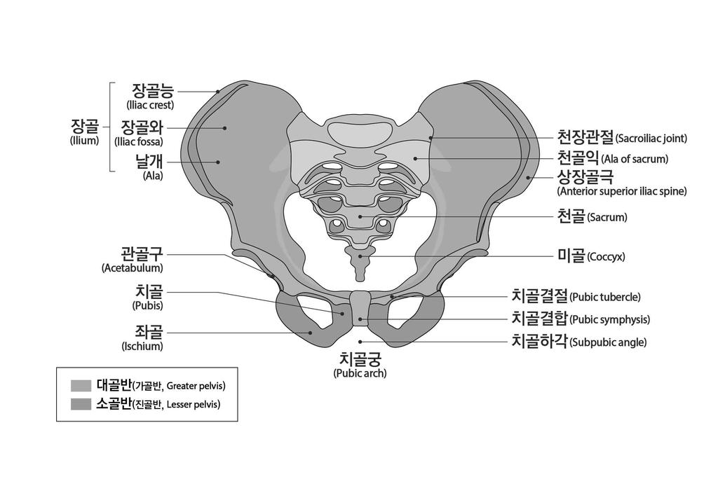 3대관절중관절하나의기능에심한장해를남긴때 5) 한팔의 3대관절중관절하나의기능에뚜렷한장해를남긴때 6) 한팔의 3대관절중관절하나의기능에약간의장해를남긴때 7)