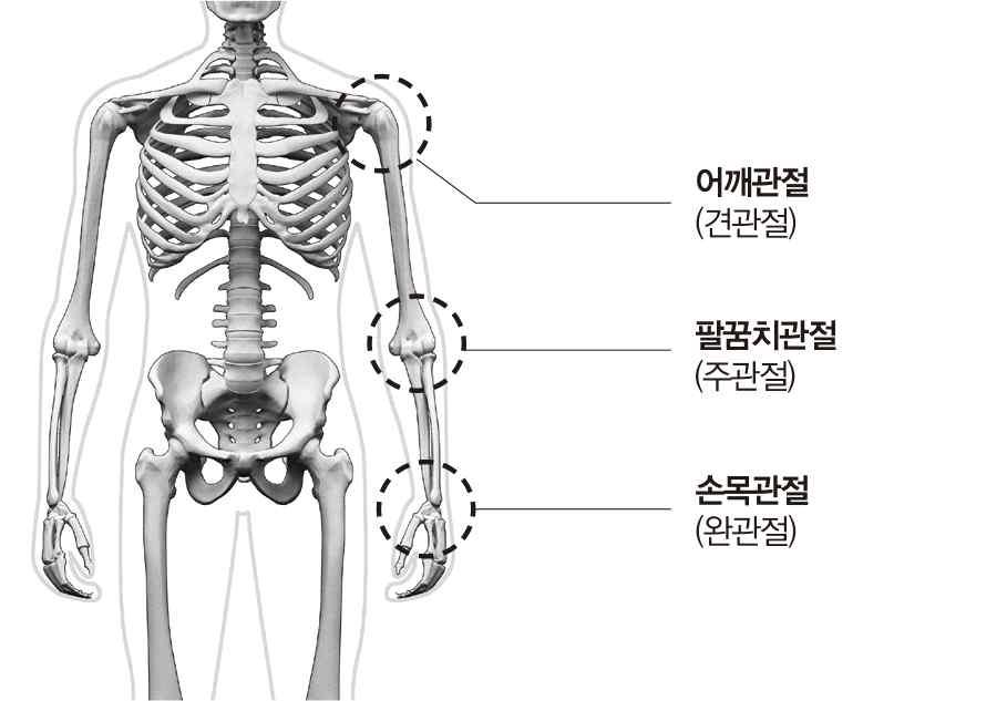 < 팔의 3 대관절 > 9. 다리의장해 가.