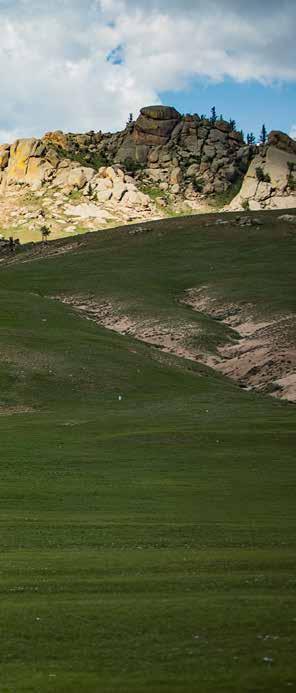 Mongolia TRAVEL 초원을달린다, 테를지국립공원울란바토르에서 70km, 공항에서한시간반정도만달리면도시와는전혀다른풍경이눈앞에너른초록보자기처럼펼쳐진다. 바로초목지와나지막한계곡과바위산, 하얀게르가있는몽골여행의낭만지, 해발 1,600m 에위치한테를지국립공원이다.