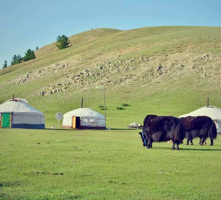 70 Travel Advice 몽골여행의조언 당장몽골로가고싶은이들을위한전문가의조언입니다.