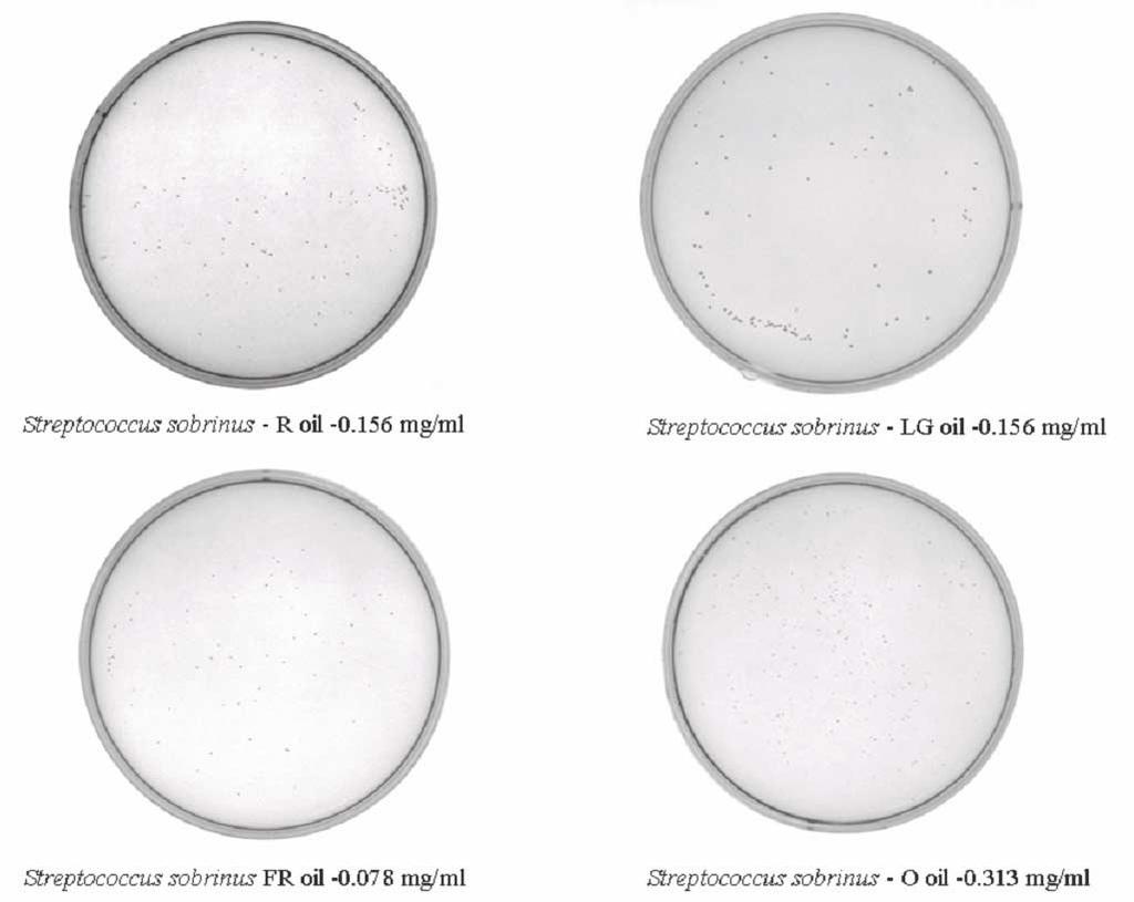 Effect of various concentrations of several plant essential oils on Streptococcus sobrinus 0.625 - - - - + 0.313 - - - - + 0.156 - - - + + 0.078 + + - + + Fig. 7.