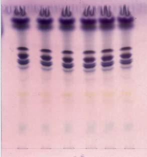 검액및표준액각각 10 ul 을박층크로마토그래프용실리카겔 ( 형광제넣은것 ) 에점적한다. 다음에클로로포름 메탄올 0.02 % 염화칼슘용액혼합액 (60 : 35 : 8 ) 을전개용매로하여약 10 cm 전개한다음박층판을바람에말린다. 여기에 p- 아니스알데히드황산시액을고르게뿌린다음 105 에서가열할때검액에서얻은반점들은표준액에서얻은반점과색상및 R f 값이같다. 2.