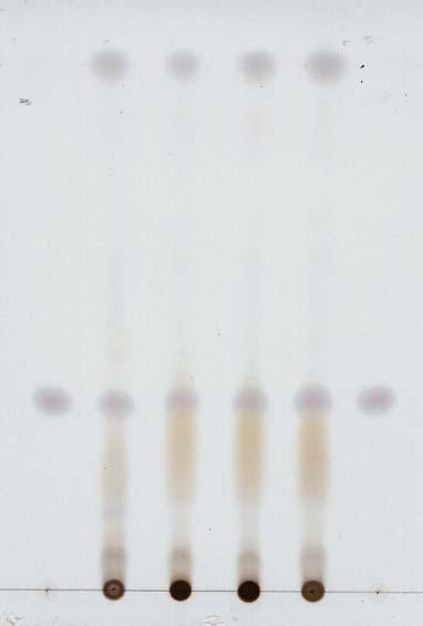 탄올 1 ml 를넣어검액으로하고따로 β-시토스테롤 1 mg 을달아메탄올 1 ml 에녹여만든액을표준액으로하여 n- 헥산 아세톤혼합액 (6 : 4) 을전개용매로하여약 10 cm 전개한다. 이를실온에서말린다음묽은황산시액을고르게뿌리고 105 에서가열하였을때 (A), 여기에자외선 (365 nm) 를쪼였을때 (B) 모두 β-시토스테롤의반점을확인할수있었다.