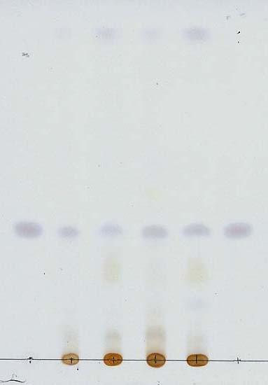 특히검체 1 번에는다른검체에서보다반점이흐릿하게나타났다. 1 2 3 4 5 6 따로 이 약의 가루를 담아 석유에텔을 넣은 다음 초음파추출하고 여과한다. 잔사에 메탄올을 넣고 초 음파 추출하고 여과한다.