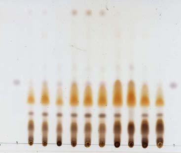 간끓이면용액은진한자색으로변한다 (DP). 3) 이약의가루 0.1 g을물 10 ml 를넣고냉침시킨다음여과하고이액을가지고박층크로마토그래프법에따라시험한다.