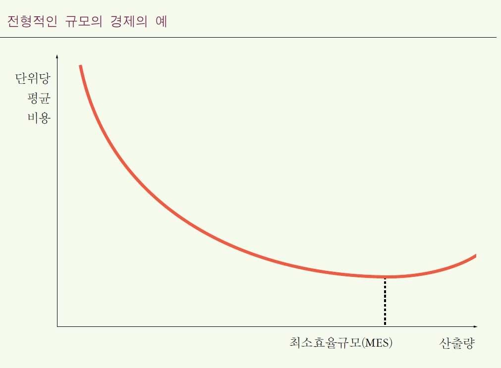 비용결정요인 (1) 규모의경제 전형적인규모의경제예