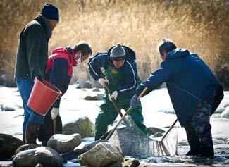 섶밭들산촌마을에현재실거주하는가구는 26가구 이다. 그중 21가구가마을사업에참여하고있으며섶밭들영농조합의조합원이다. 조합원에게는연말에결산을하여많은돈은아니지만공평하게소득을분배된다. 그리고남는자금은선진지견학, 여행, 회식등주민복지를위해쓰이고나머지는다음해시설을운영하는자금으로쓰인다.