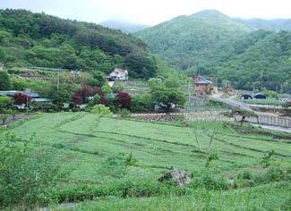 백운산자락아래성불계곡이아름다운산달뱅이산촌마을 산달뱅이산촌마을연락처 광양시청산림자원과 ( 061-797-3572) 위치 : 전라남도광양시봉강면조령리 이장 ( 061-763-3954), 운영매니저 ( 010-6265-6393) 홈페이지 : www.hajo.co.kr, E-mail :4bokok@hanmail.