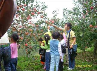 별과달, 자연경관자원을활용한마을체험프로그램운영월성산촌마을에서진행되는체험프로그램은크게건강, 자연, 농사음식등으로분류할수있다.