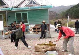 산약초뜯기새총풍선놀이떡메치기 체육시설출렁다리체험시설 부 ( 富 ) 와귀 ( 貴 ) 를부르는산촌개발사업추친