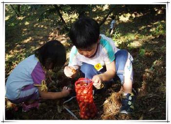 맑은햇살이비추고겨울에는눈이내리면칠갑산자락의설경이장관을이룬다. 또한칠갑산도립공원을중심으로물빛이아름답기로유명한천장호, 국내최장의길이를자랑하는출렁다리, 칠갑산의아름다운밤하늘과별을관찰할수있는스타파크천문대, 서정리구층석탑, 애국지사최익현선생의영정을모신모덕사등이마을과인접하여있어관광형산촌마을의여건을잘갖추고있으며아이들의체험학습장으로도최적의마을이다.