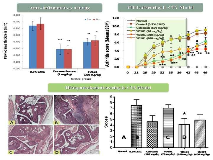 [Collagen indued arthritis (CIA) 마우스류마티스관절염모델에서의효능결과 ] 나. 선방세포 (Acinar cell) 의괴사를억제하는천연물후보물질 ( 췌장염치료 ) 1 안전성높은천연물신약 -.