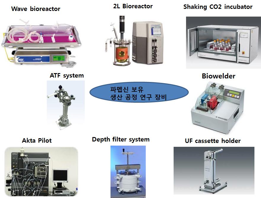 Ⅲ. 신약개발에필요한플렛폼기술및장비현황 그림 1. 파멥신보유생산공정연구개발장비 1) 동물세포발효기파멥신에서보유하고있는세포배양용장비는 25L 까지배양이가능한 wave bioreactor 1 대와 2L bioreactor 4 대를운용하고있다.