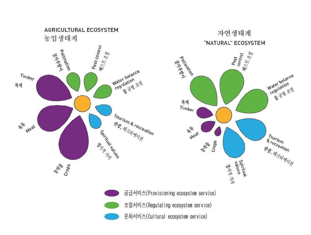 섹션 3. 건강한농업, 건강한인간 1) 농업생태계, 자연생태계 (AgriculturalEcosystem, NaturalEcosystem) 두가지생태계모두생태계서비스 (Ecosystem service) 라는공통의중요한기능을가진다. 초기인류는자연생태계에의존하면서살았지만경험과지식이축적되면서점점농업생태계를점점확대해나아갔다.