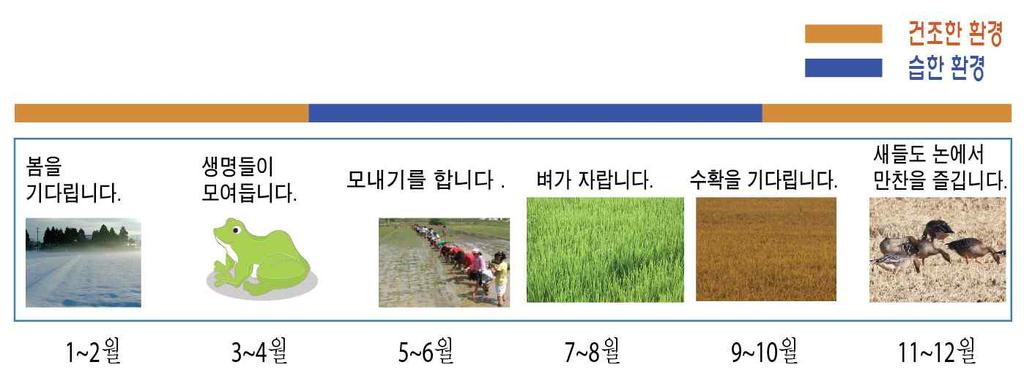 제 16 회지속가능발전전국대회 2) 습지생태계로서논의중요성 (The Importance of Rice Paddies as a Wetland Ecosystem) (1) 독특한농업생태계인 논 습지 (Wetland) 란축축한땅을말한다. 하천이나호수와같이항상물이풍부한곳, 기후의영향으로일시적으로물이고이는곳도포함한다.