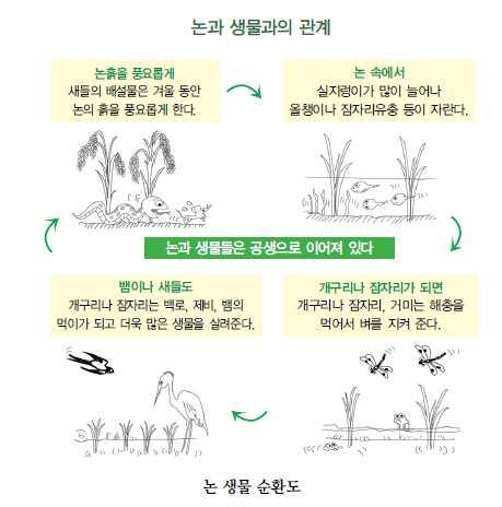 그래서국제연합식량농업기구 (FAO, Food and Agriculture Organization of the United Nations) 에서는