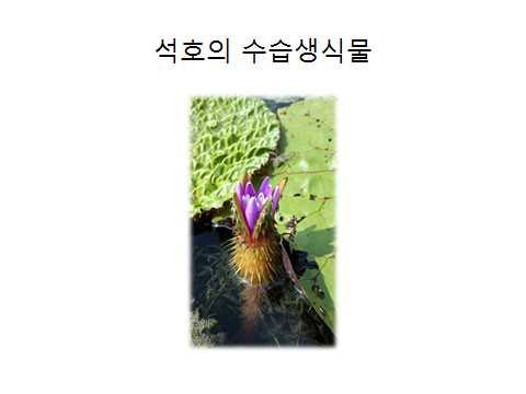 동해안의보물,