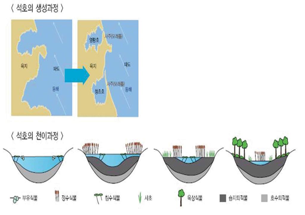 섹션 5. 동해안의보물, 석호이야기