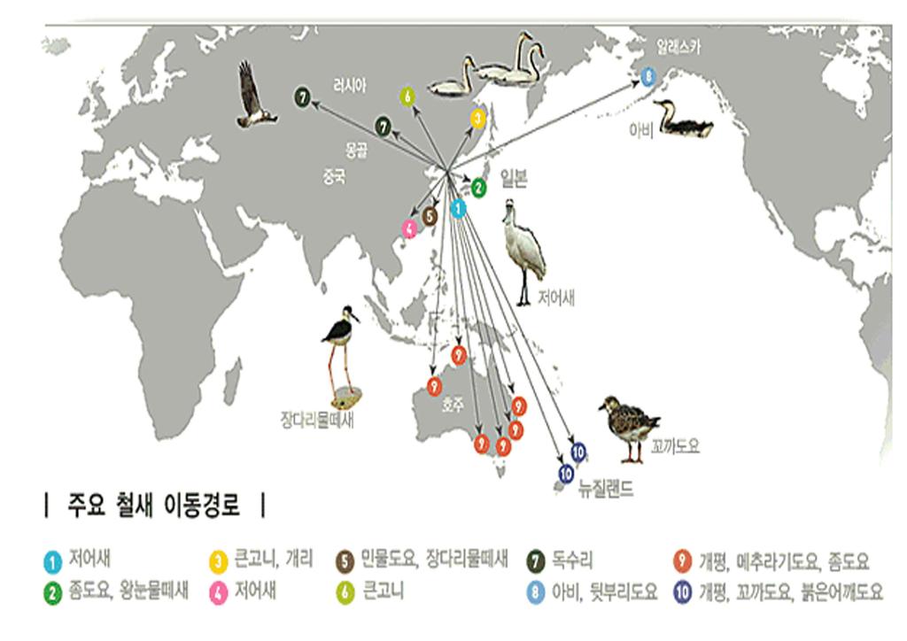 제 16 회지속가능발전전국대회 0.