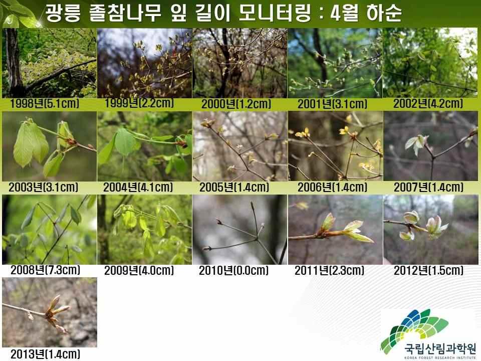 섹션 6. 기후변화와생물다양성, 지방의제 21 과실천행동 표 19. 2002-2012년광릉지역식물종다양도변화 연도 S E H D 2002년 34.1 0.931 3.273 0.950 2007년 33.9 0.917 3.213 0.946 2012년 28.6 0.686 2.28 0.