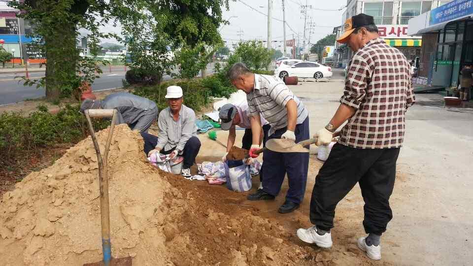 지속가능발전우수사례 환으로폐현수막화분을 700개만들어봉숭아를심어가꾸고있다. 9.