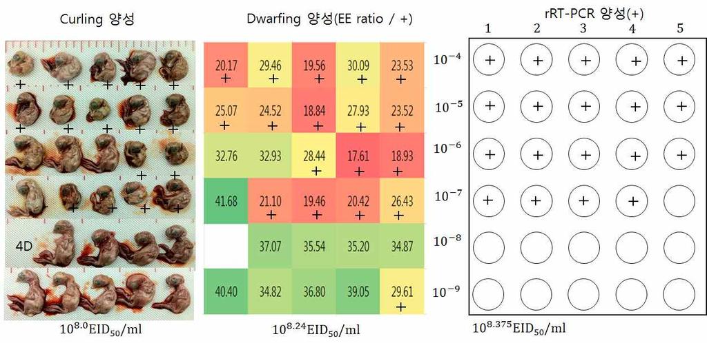 바이러스역가 (LOG 10 ) 측정방법 40/09 40/09 KM91 KM91 (CE4) (CE50) (CE7) (CE172) M41 병변판단 7.