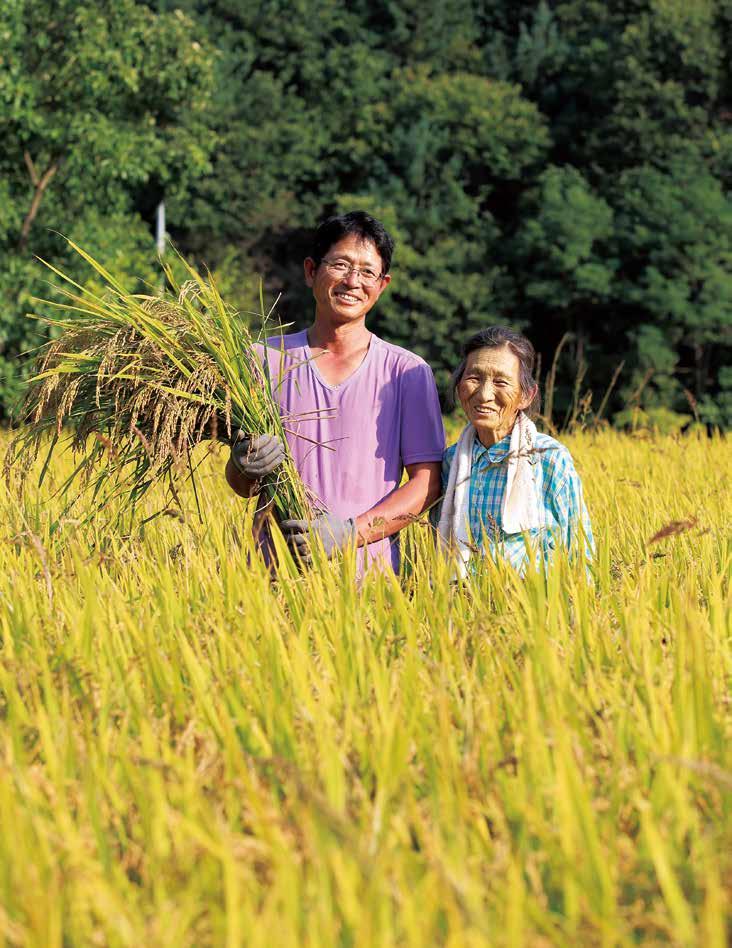 사람과사람사람과자연 2015 10월 5일한살림소식 ~ 장보기안내 536호 1010월 18일 한로 ( 寒露, 10 월 8 일 ) 즈음찬이슬이맺히고국화꽃향기가그윽한시기입니다. 기온이내려가여름새들이떠나고겨울새들이찾아옵니다. 늦가을서리가내리기전에추수를마치기위해농부들의손길이바빠집니다.