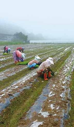 고충이스며있는삶의모습도들여다볼 수있습니다. 한살림생산자연합회누리집 생산지는지금 (http://farm.